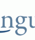 Conheça o Linguee
